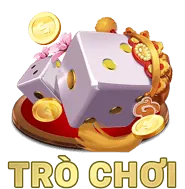 Link Theo Dõi Chi Tiết